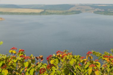 güzel bir nehir manzarası