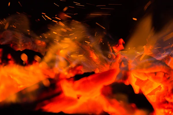 사진 밤 모닥불 — 스톡 사진