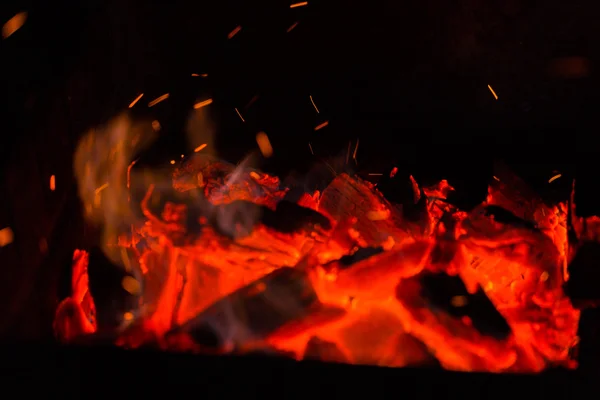 Photo Night bonfire — Stock Photo, Image