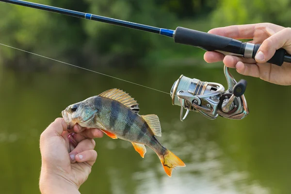 Balıkçı taze catch — Stok fotoğraf