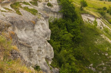 Ot ve çalılar Nehri üzerinde