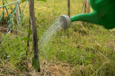 Bahçe Sulama tencereye