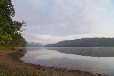 çalılar ve ağaçlar Nehri üzerinde