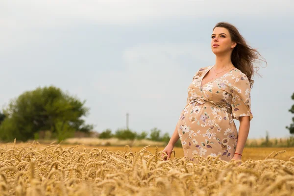 Zwangere vrouw in een tarweveld — Stockfoto