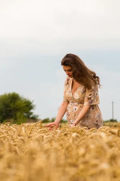 Femme enceinte dans le champ de blé — Photo