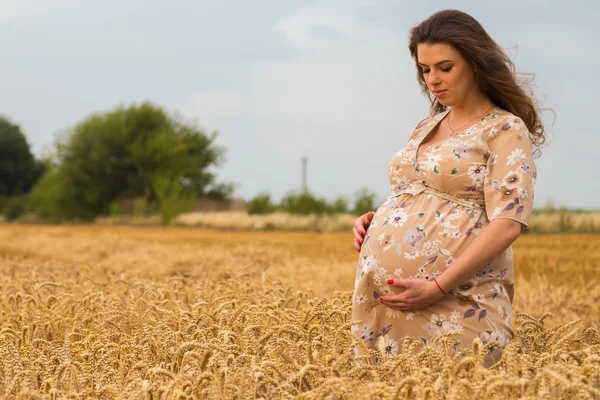 Mujer embarazada en campo de trigo — Foto de Stock