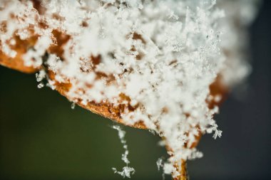 Hassas kar kristalleriyle kaplı kahverengi bir yaprağın makro fotoğrafı, kış dokusunu ve renklerin kontrastını gösteriyor.