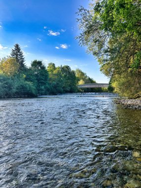 Berrak bir dağ nehrindeki balık avlama sahnesi mavi bir bahar gökyüzünün altında yemyeşil ağaçlarla çevrili..