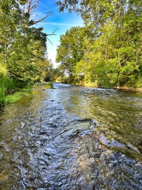 Berrak bir dağ nehrindeki balık avlama sahnesi mavi bir bahar gökyüzünün altında yemyeşil ağaçlarla çevrili..