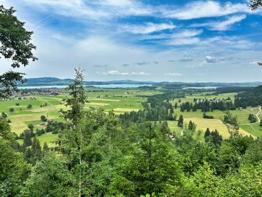 Yeşil ormanın üzerinde yükselen peri masalı şatosu. Arka planda bulutlu gökyüzünün altında dağlar var..