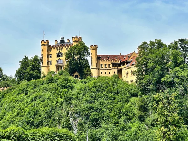 Yeşil ormanın üzerinde yükselen peri masalı şatosu. Arka planda bulutlu gökyüzünün altında dağlar var..