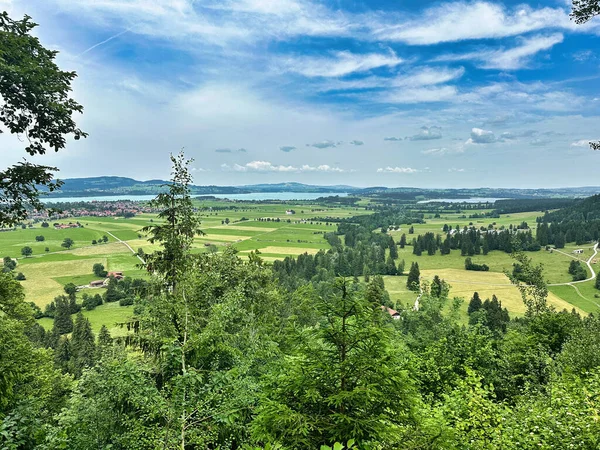 Yeşil ormanın üzerinde yükselen peri masalı şatosu. Arka planda bulutlu gökyüzünün altında dağlar var..