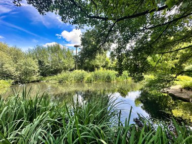 Hayvanat bahçesinden canlı bir sahne vahşi yaşamın güzelliğini ve çeşitliliğini gösteriyor..