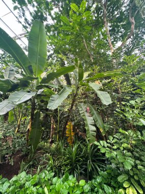Hayvanat bahçesinden canlı bir sahne vahşi yaşamın güzelliğini ve çeşitliliğini gösteriyor..