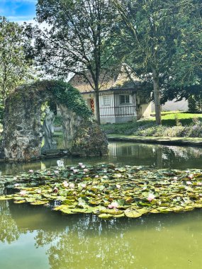 Bahçe havuzu, güneşli bir günde zambaklar ve heykel..
