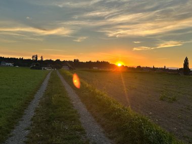 Sıcak altın ışıkla kırsal alanda gün batımı.