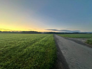 Gün doğumunda yeşil tarlalardan geçen köy yolu..