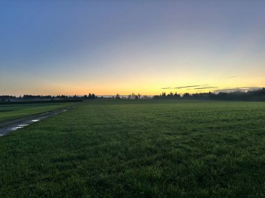 Gün doğumunda yeşil tarlalardan geçen köy yolu..