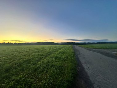 Gün doğumunda yeşil tarlalardan geçen köy yolu..