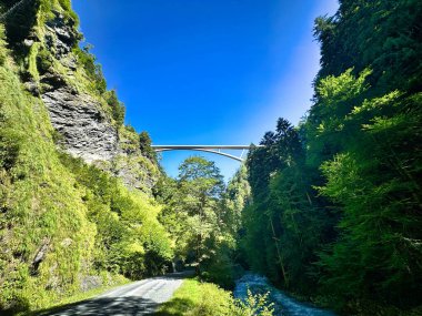 Mavi gökyüzünün altında yeşil orman vadisine yayılan yüksek köprü.