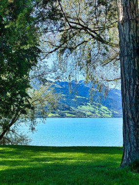 Arka planda dağlar olan ağaçlar tarafından çerçevelenmiş Lakeside görünümü.