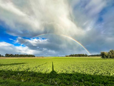 Gökkuşağı, dramatik bulutlu gökyüzünün altında yeşil bir alanda uzanıyor..