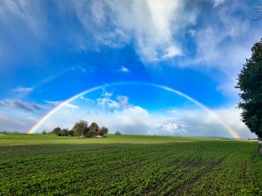 Gökkuşağı, dramatik bulutlu gökyüzünün altında yeşil bir alanda uzanıyor..