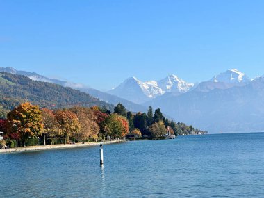 İsviçre 'deki Thun Gölü' nün güzel sonbahar manzarası. Kıyı boyunca renkli ağaçlar ve açık mavi gökyüzünün altında karla kaplı Alpler..