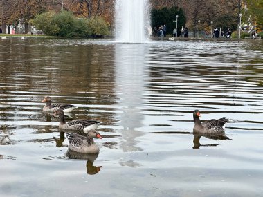 Yıldönümü sütunuyla tarihi şehir meydanı ve etrafındaki klasik mimariyle bulutlu bir günde yürüyen ve rahatlatan insanları barındırıyor..