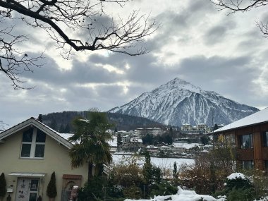 Spiez, İsviçre 'nin kış manzarası, karla kaplı çatılar ve arka planda Niesen dağı.