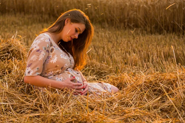 Piękna kobieta w ciąży na spacer w polu pszenicy — Zdjęcie stockowe