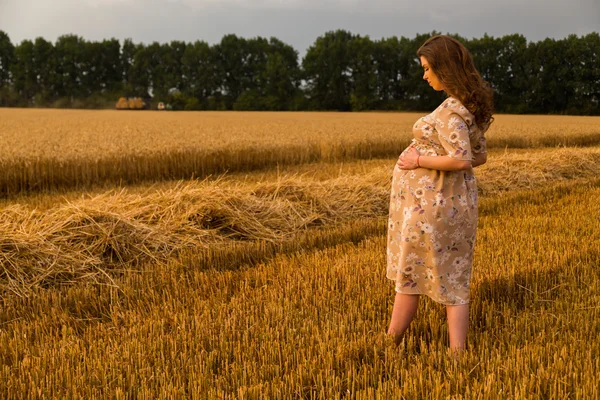 Beautiful pregnant woman on a walk in a wheat field — Stock Photo, Image