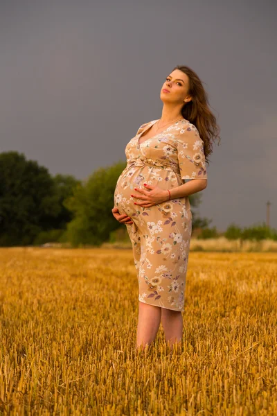 Piękna kobieta w ciąży na spacer w polu pszenicy — Zdjęcie stockowe