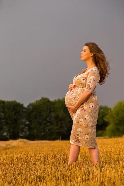 麦畑の中を歩く美しい妊娠中の女性 — ストック写真