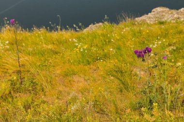 Sahilde güzel bir gün batımı