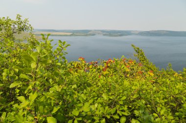 Sahilde güzel bir gün batımı
