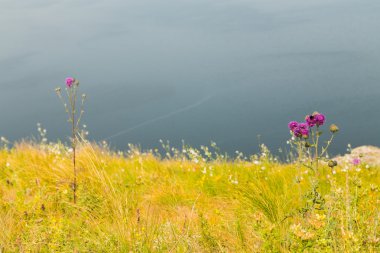 Sahilde güzel bir gün batımı