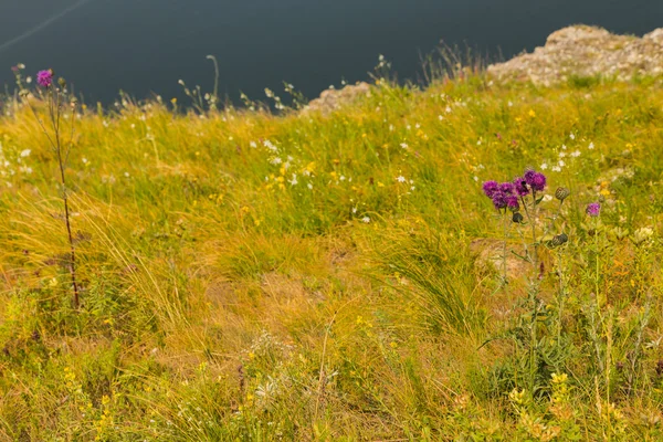 Sahilde güzel bir gün batımı