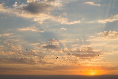 Sahilde güzel bir gün batımı