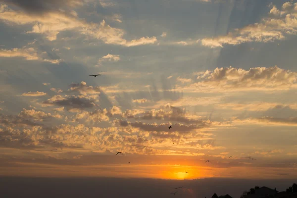 Magnifique coucher de soleil sur la plage — Photo