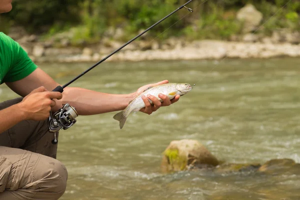 Rybaření v řece hory v létě — Stock fotografie