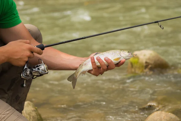 Pesca nel fiume di montagna in estate — Foto Stock