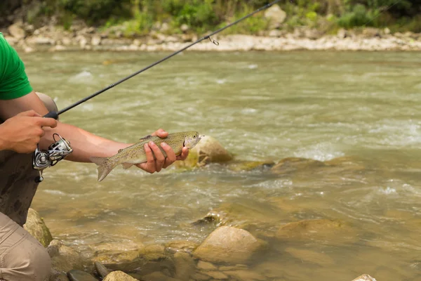 Pesca no rio da montanha no verão — Fotografia de Stock