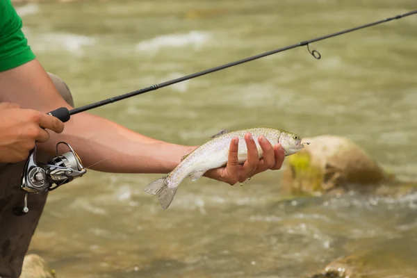 Pesca en el río de montaña en verano —  Fotos de Stock