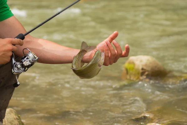 Pesca nel fiume di montagna in estate — Foto Stock