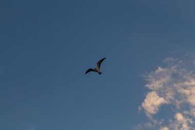 Nice deniz görünümü