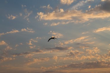 Nice deniz görünümü