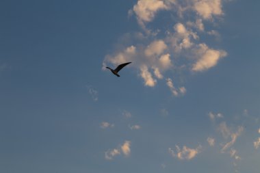 Nice deniz görünümü