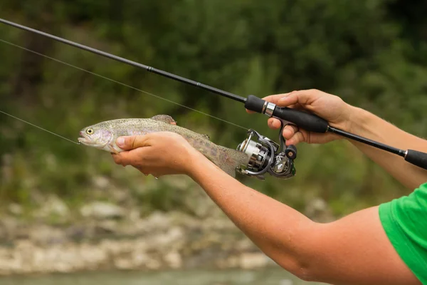 Fishing in the mountain river in summer — Stock Photo, Image