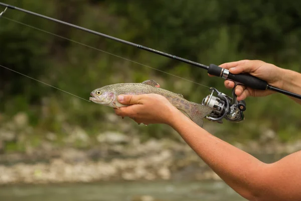 Pesca en el río de montaña en verano — Foto de Stock